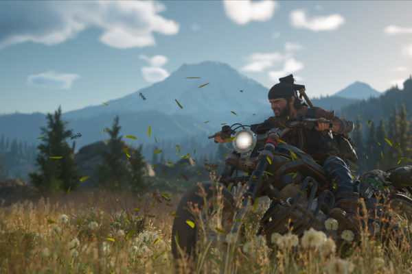 Days Gone